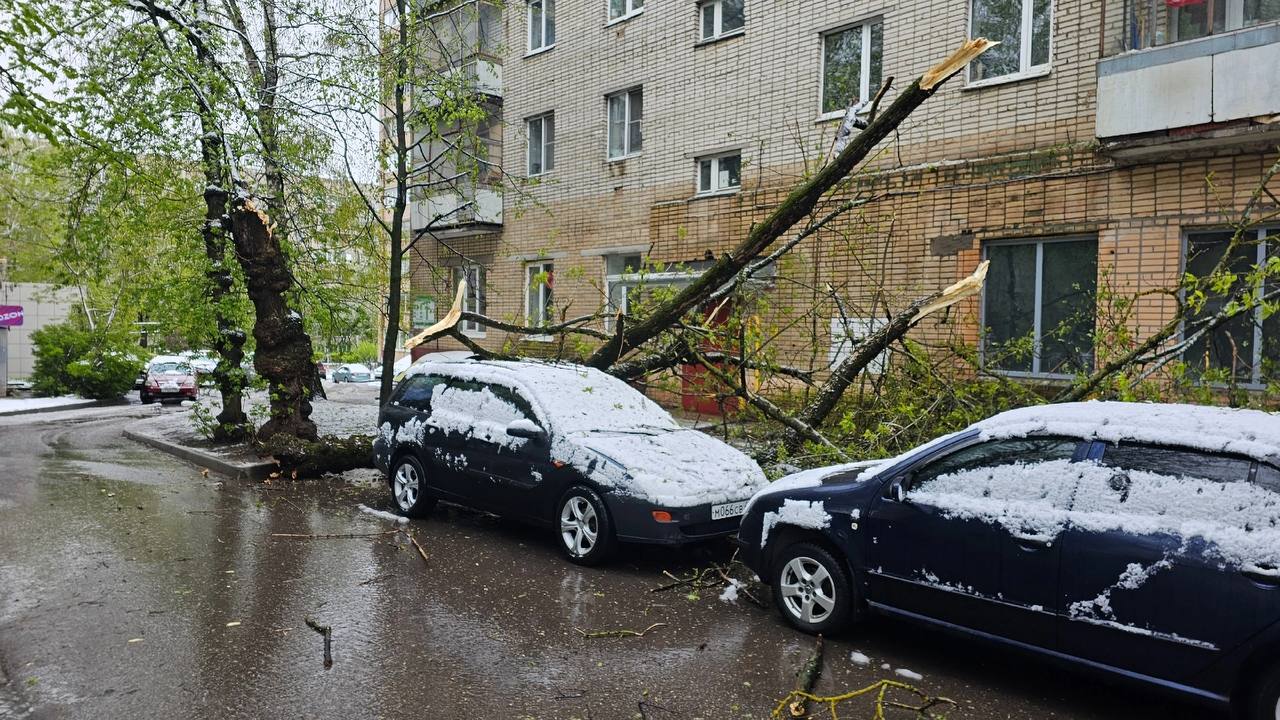 Поваленные деревья и повсеместное отключение света
