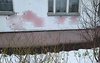 В Истре разыскивают хулиганов, которые нарисовали свастику на стене дома 