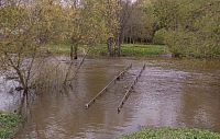 Истринцы просят модернизировать пешеходный мост на Соколку
